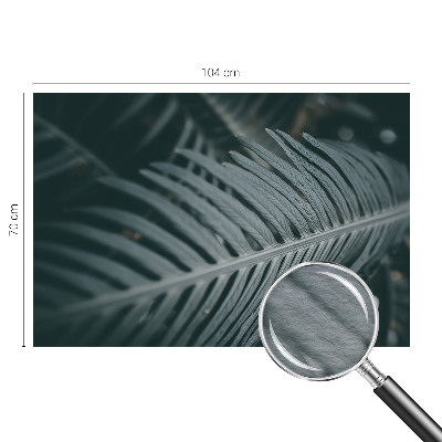 Fototapeta na stěnu Zelený list