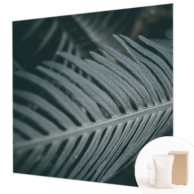Fototapeta na stěnu Zelený list