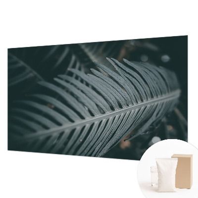 Fototapeta na stěnu Zelený list