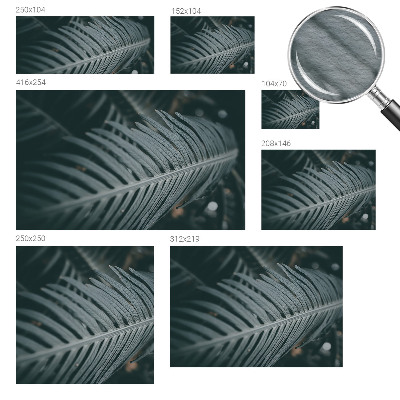 Fototapeta na stěnu Zelený list