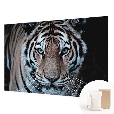 Fototapeta do ložnice Portrét tygra