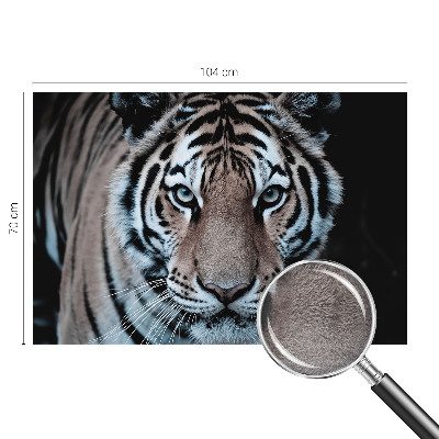 Fototapeta do ložnice Portrét tygra