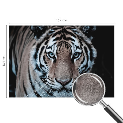 Fototapeta do ložnice Portrét tygra