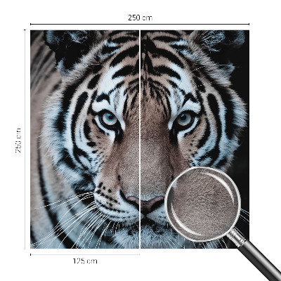 Fototapeta do ložnice Portrét tygra