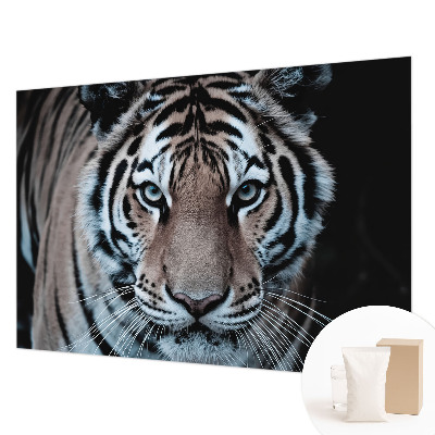 Fototapeta do ložnice Portrét tygra