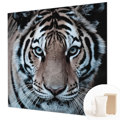 Fototapeta do ložnice Portrét tygra