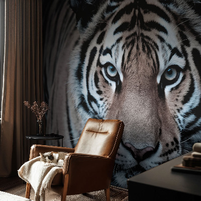 Fototapeta do ložnice Portrét tygra