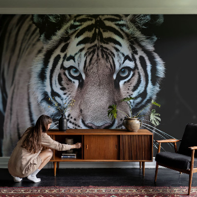 Fototapeta do ložnice Portrét tygra