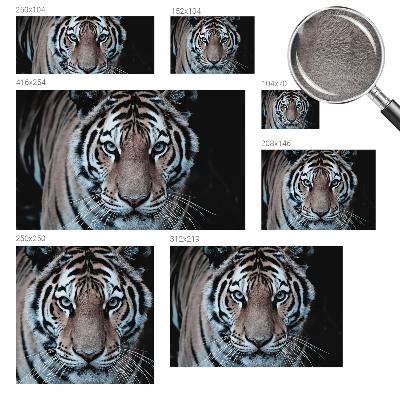 Fototapeta do ložnice Portrét tygra