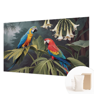 Fototapeta na stěnu Barevní papoušci