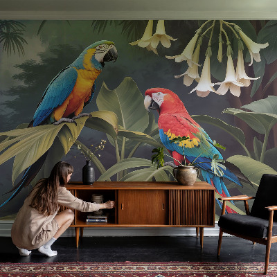 Fototapeta na stěnu Barevní papoušci