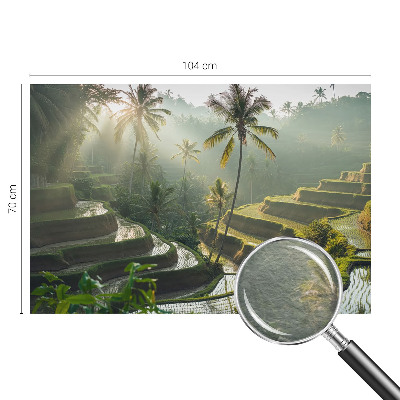 Fotografická tapeta vliesová Rajské terasy