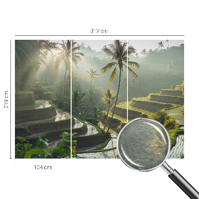 Fotografická tapeta vliesová Rajské terasy