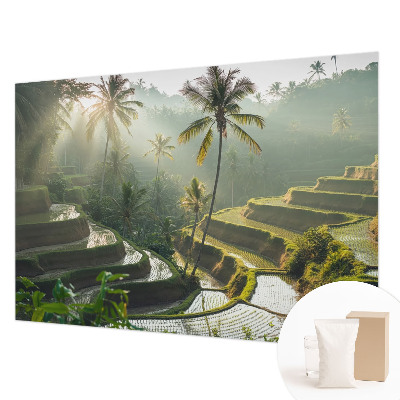 Fotografická tapeta vliesová Rajské terasy