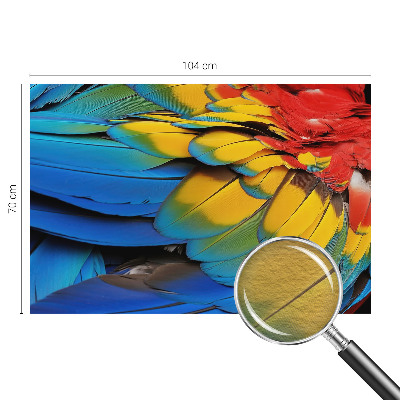 Vliesová fototapeta do obýváků Duhové peří