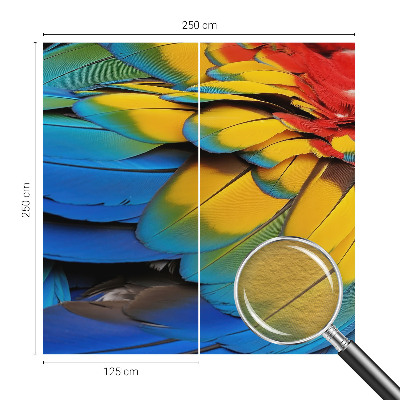 Vliesová fototapeta do obýváků Duhové peří