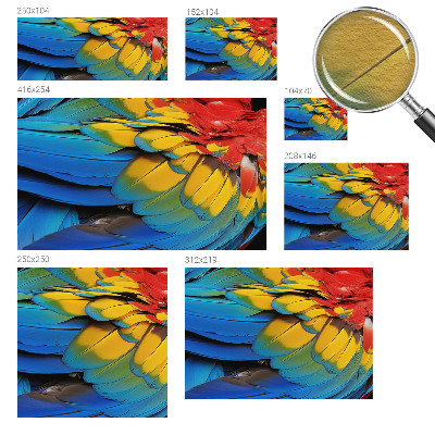 Vliesová fototapeta do obýváků Duhové peří