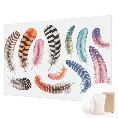 Vliesová fototapeta do ložnice Pastelové peří