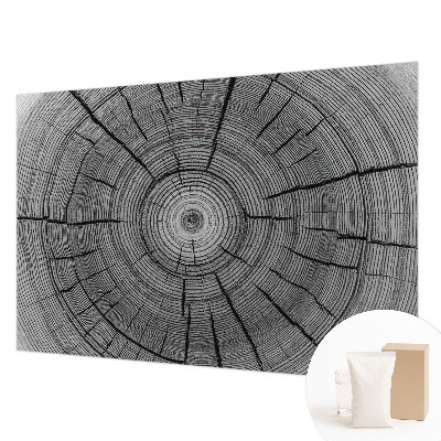 Vliesová fototapeta pro děti Lesní harmonie