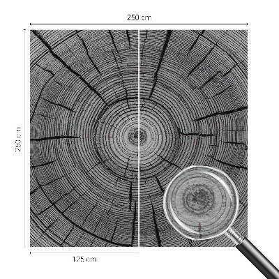 Vliesová fototapeta pro děti Lesní harmonie