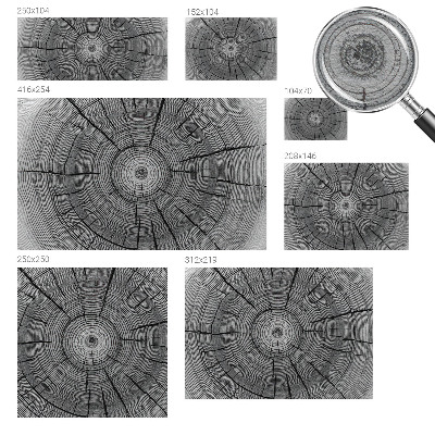 Vliesová fototapeta pro děti Lesní harmonie