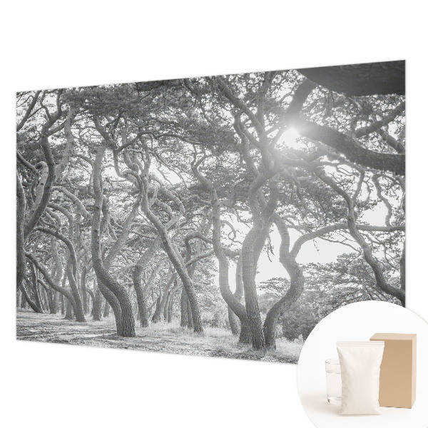 Vliesová fototapeta do ložnice Atmosférický les