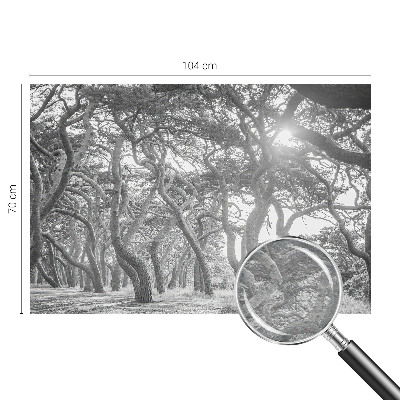 Vliesová fototapeta do ložnice Atmosférický les