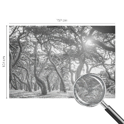 Vliesová fototapeta do ložnice Atmosférický les