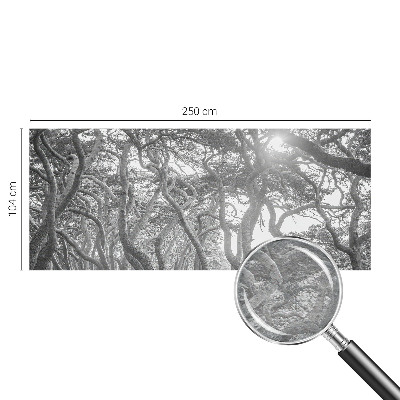 Vliesová fototapeta do ložnice Atmosférický les