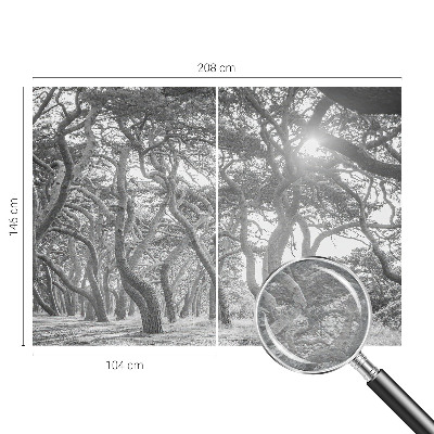 Vliesová fototapeta do ložnice Atmosférický les