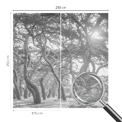 Vliesová fototapeta do ložnice Atmosférický les