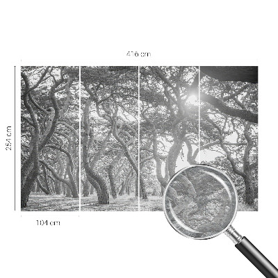 Vliesová fototapeta do ložnice Atmosférický les