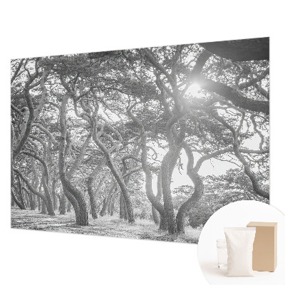 Vliesová fototapeta do ložnice Atmosférický les