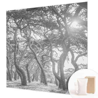 Vliesová fototapeta do ložnice Atmosférický les