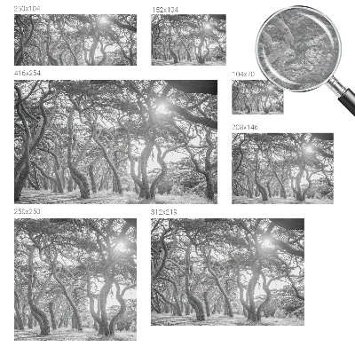 Vliesová fototapeta do ložnice Atmosférický les