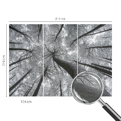 Fototapeta s potiskem na vliesu Zimní krajina