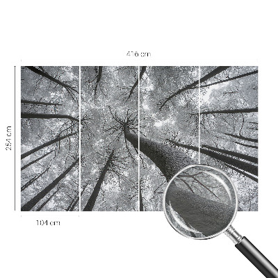 Fototapeta s potiskem na vliesu Zimní krajina