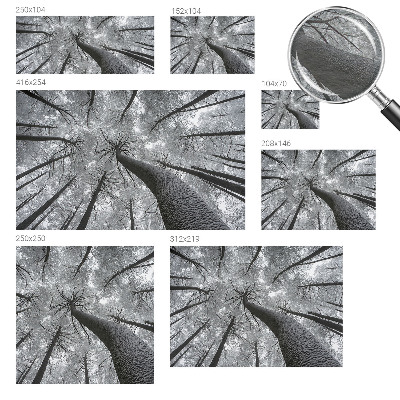 Fototapeta s potiskem na vliesu Zimní krajina