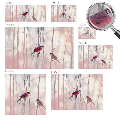 Vliesová fototapeta do ložnice Ptačí pár