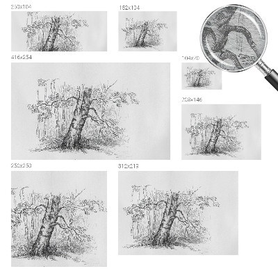 Dekorativní fototapeta na zeď Lesní strom