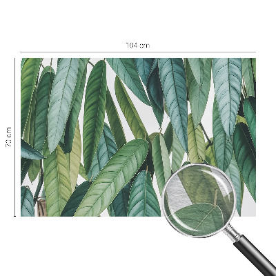 Fototapeta s potiskem na vliesu Přírodní listy