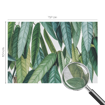 Fototapeta s potiskem na vliesu Přírodní listy