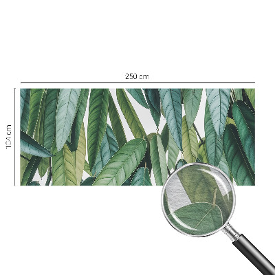 Fototapeta s potiskem na vliesu Přírodní listy