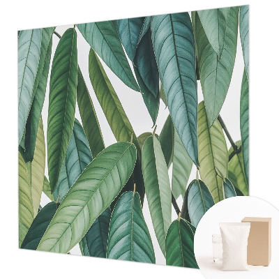 Fototapeta s potiskem na vliesu Přírodní listy