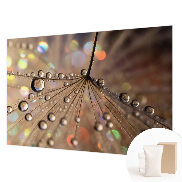 Fotografická tapeta vliesová Perlové kapky