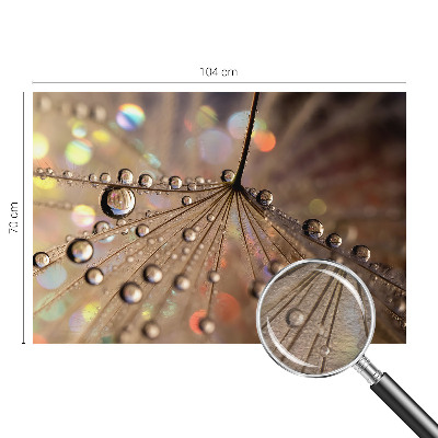 Fotografická tapeta vliesová Perlové kapky