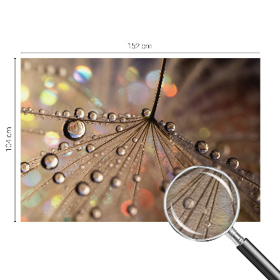 Fotografická tapeta vliesová Perlové kapky