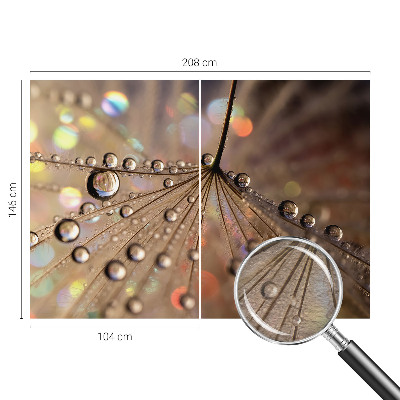 Fotografická tapeta vliesová Perlové kapky