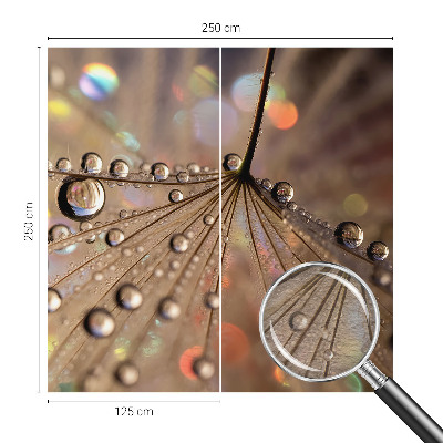 Fotografická tapeta vliesová Perlové kapky