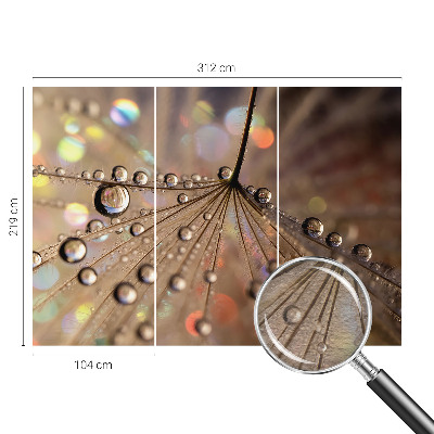 Fotografická tapeta vliesová Perlové kapky